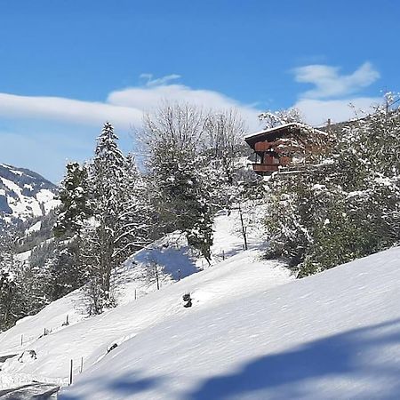 Alpine Cottage With Exceptional View 迈尔霍芬 外观 照片