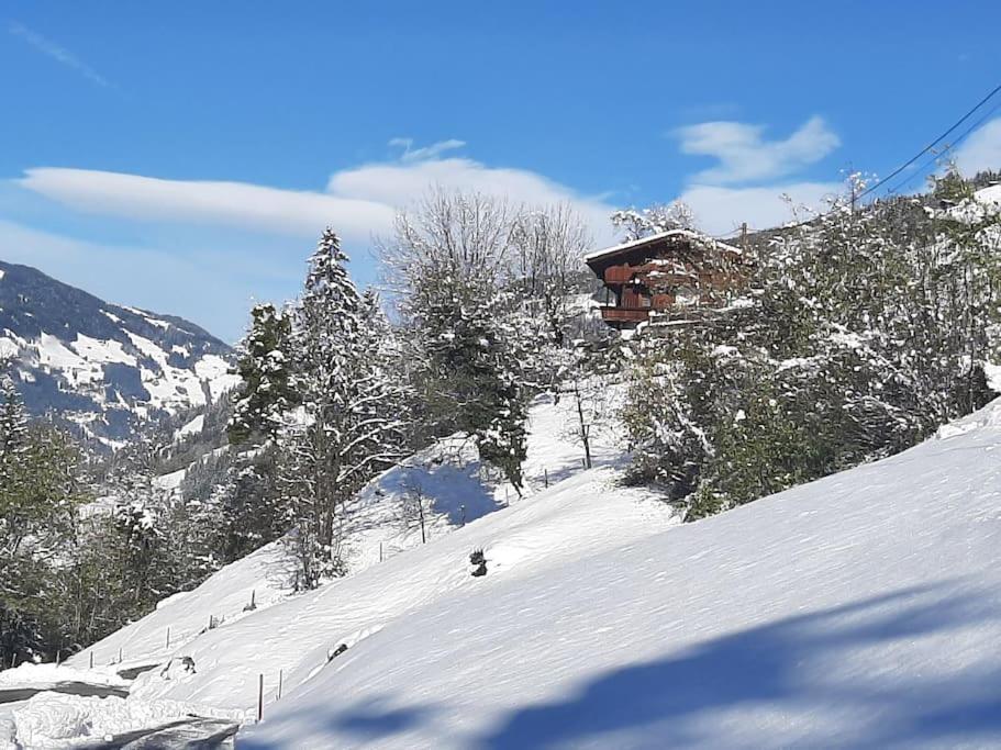 Alpine Cottage With Exceptional View 迈尔霍芬 外观 照片